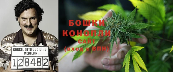 кокс Баксан